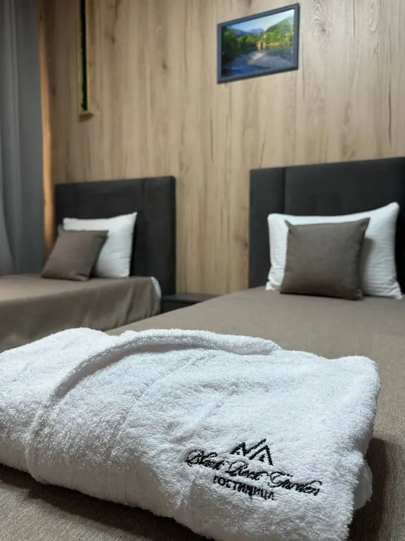 Двухкомнатный полулюкс с балконом и видом на горы и лес