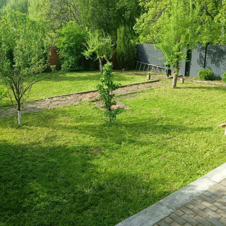 Дом шале с видом на санаторий