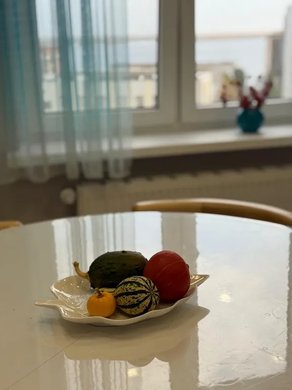 Квартира в центре с видом на Волгу Маяк