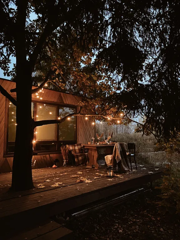 Чудо-дача, дом Акула на берегу пруда