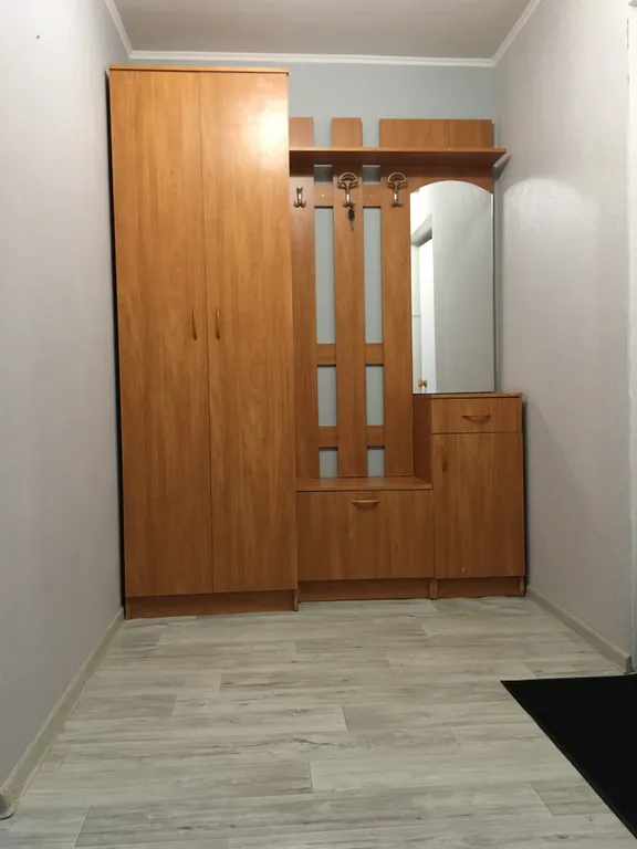 Уютная и чистая квартира в сердце Воронежа
