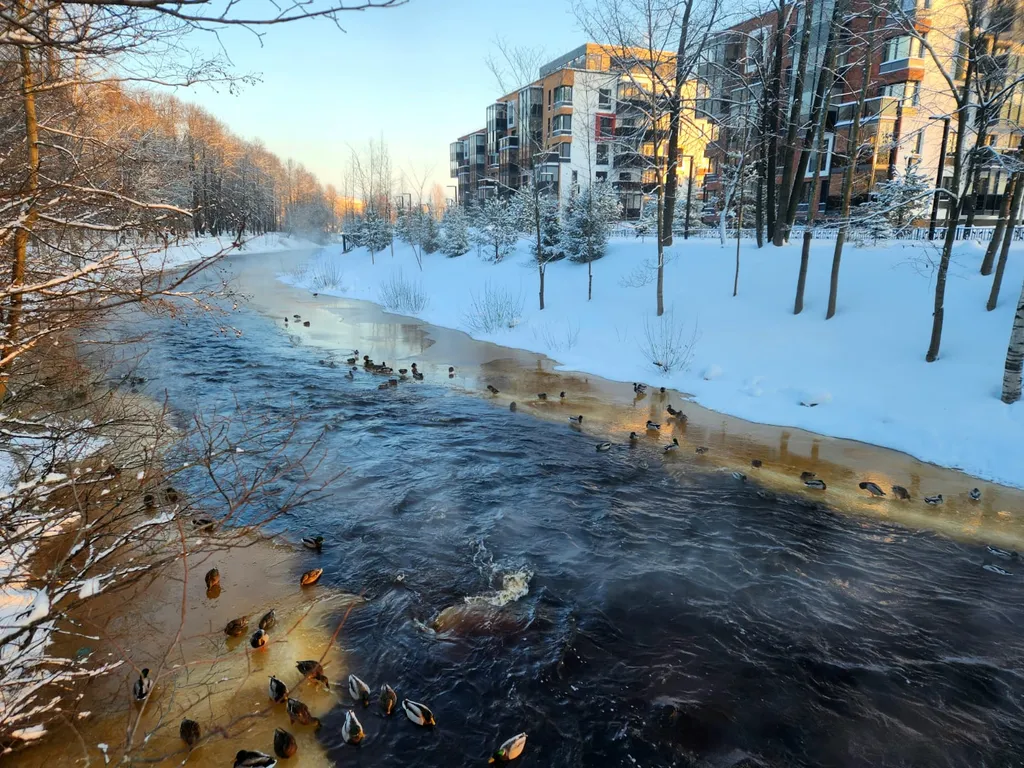 Апартамент в центре в парке на речке