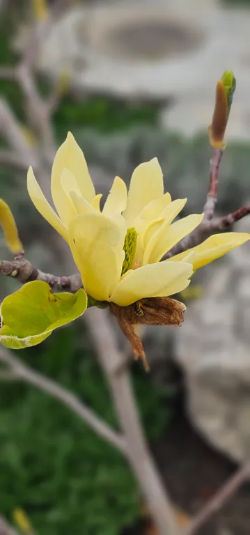 Уютная квартира с удобным месторасположением и отличной инфраструктурой