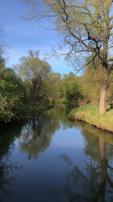 Дом под Боровском