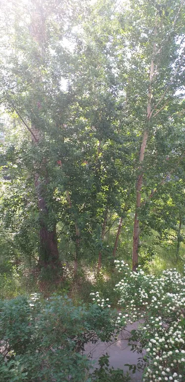 Квартира в центре Машгородка с большой открытой лоджией