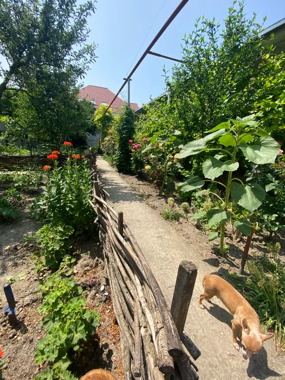 Уютный дом на 1 линии самого чистого пляжа в городе