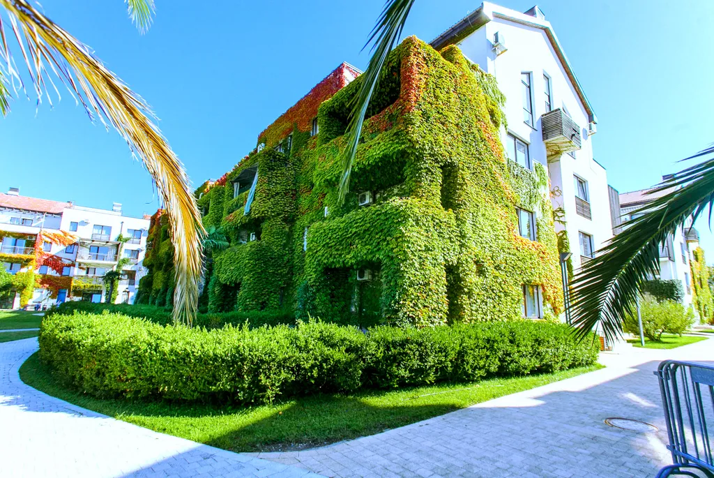 Зелёный уголок у моря