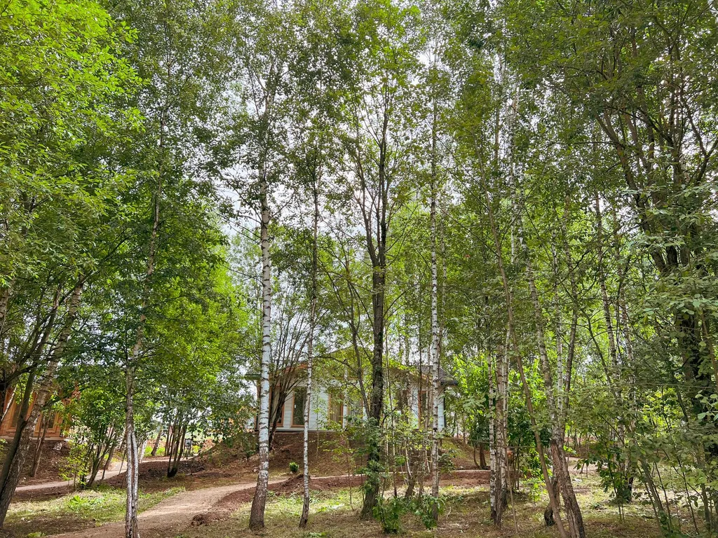 Усадьба (Sky house/ Wood house)