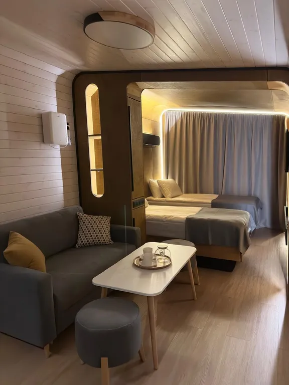 Эко-дом Студия Twin