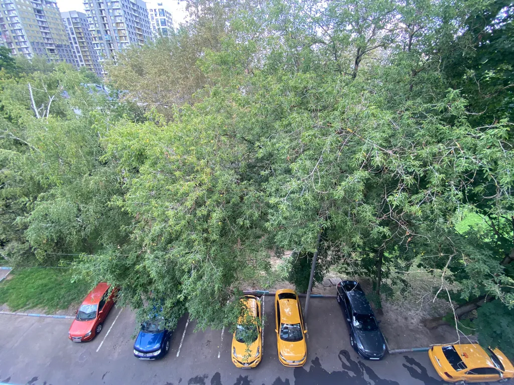 Квартира Уютная и очень тёплая квартира — Москва