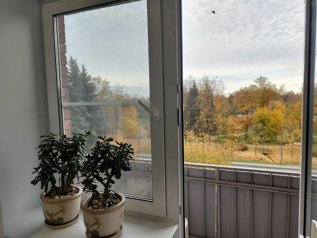 Квартира Квартира с балконом — Колпино