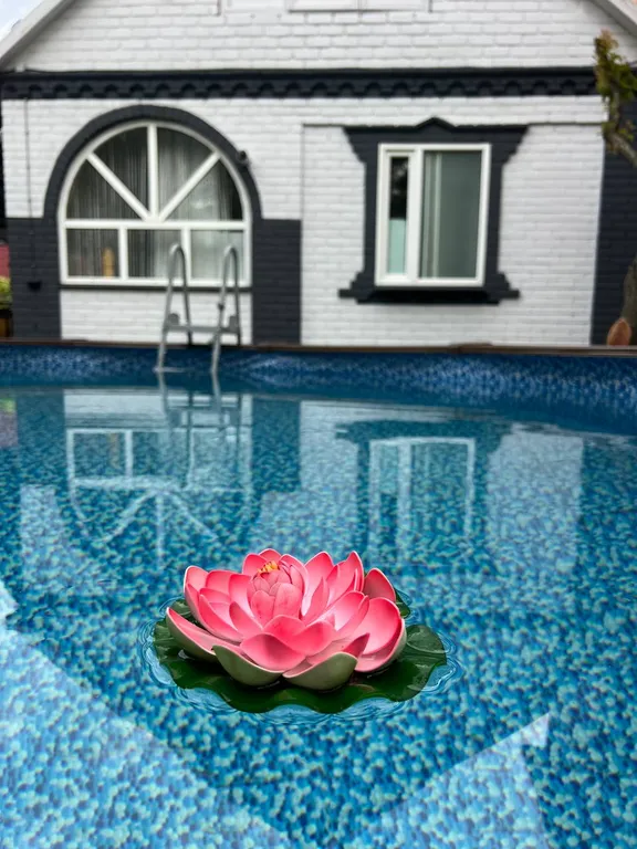 Квартира Апартаменты изумруд с бассейном в центре Геленджика — Геленджик