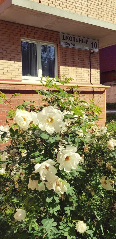 Уютная комната-студия у церкви на холме