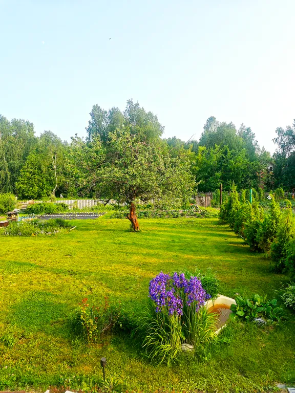 Коттедж Загородный дом с видом на лес — Ситники