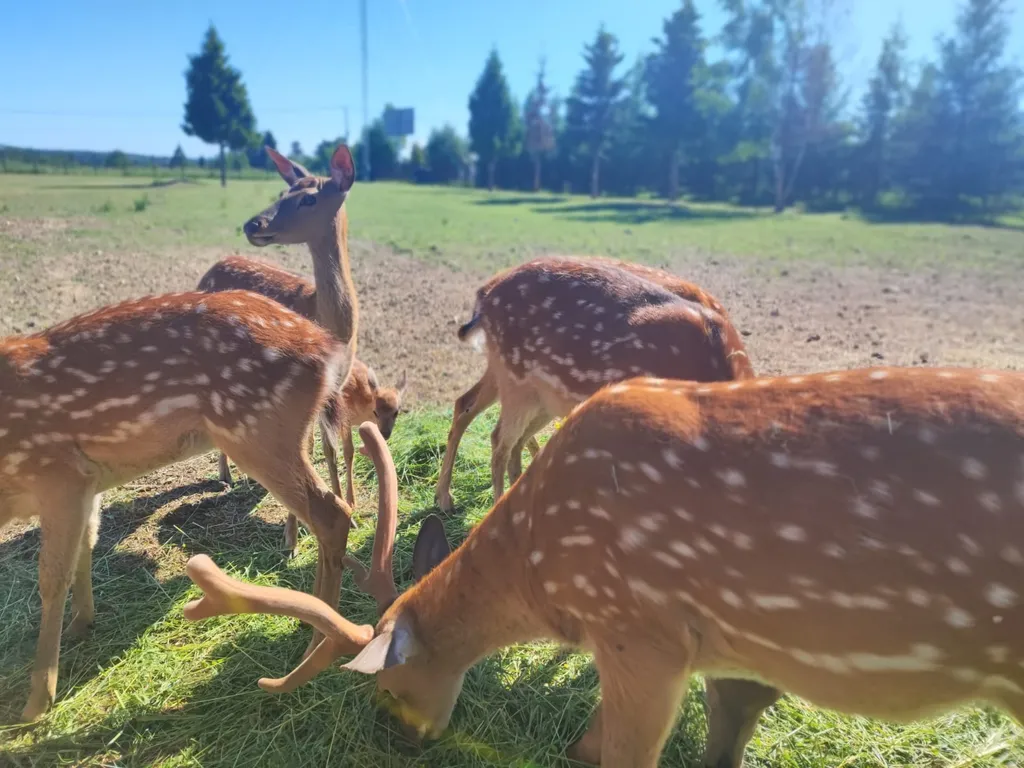 Дом у озера