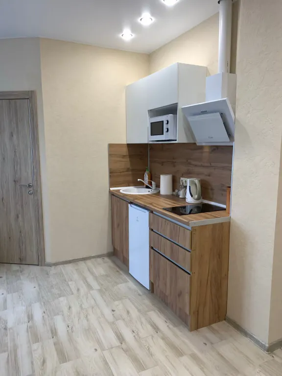 Квартира Квартира Уютная и просторная студия — Сочи