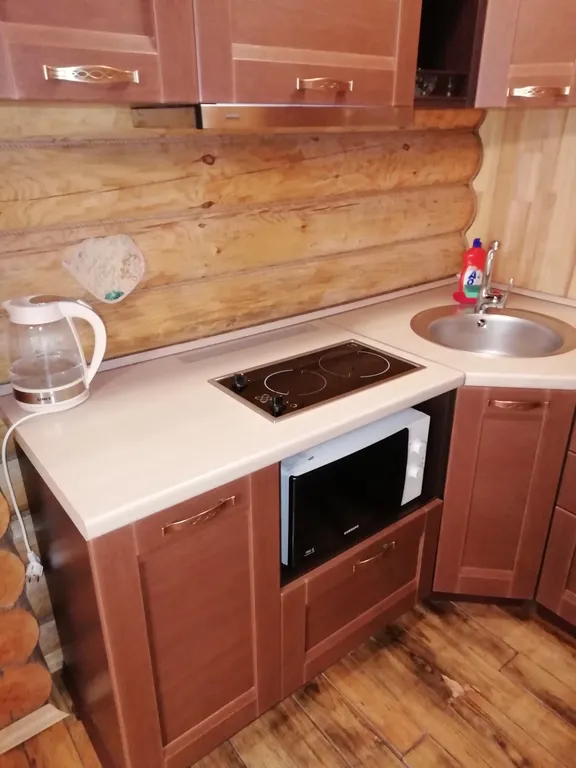 Апартамент на берегу озера Тургояк