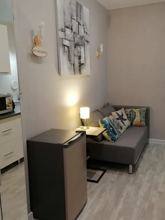 Уютная студия в центре города