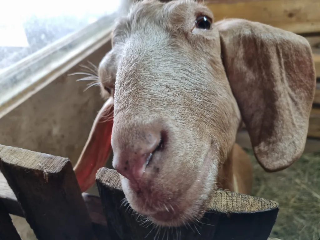 Коттедж Домик в деревне — Соколова