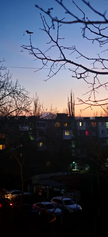 Квартира в ментоловых тонах