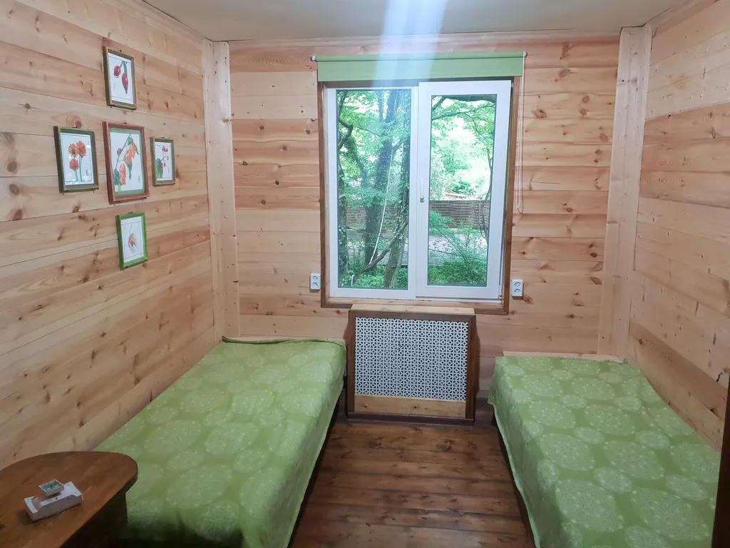 Большой дом для большой компании