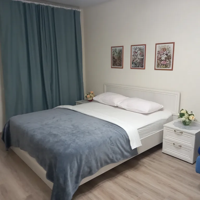 Квартира Апартаменты Пятница /"Гармония"/до 4чел/рядом с центром города — аренда посуточно в Вологда