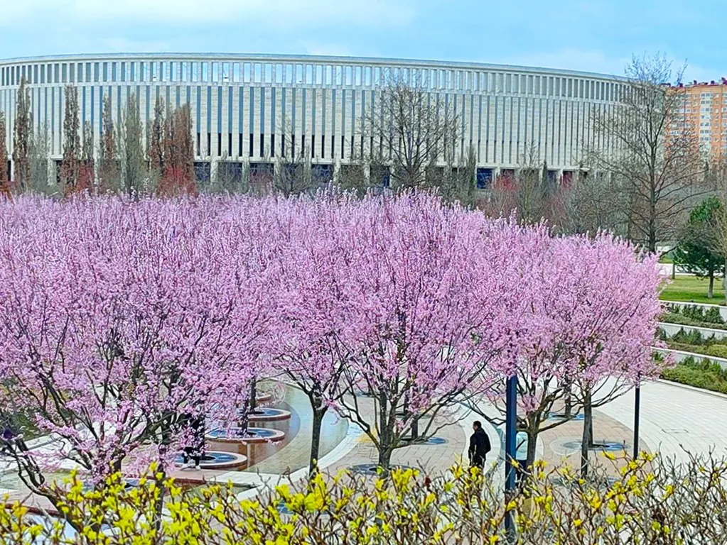 Квартира Уютная квартира на первой линии с видом на парк Облаков Галицкого — Краснодар