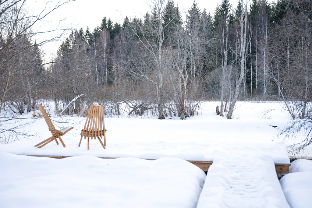 Коттедж Домик в лесу у реки с панорамным остеклением — Сиверский