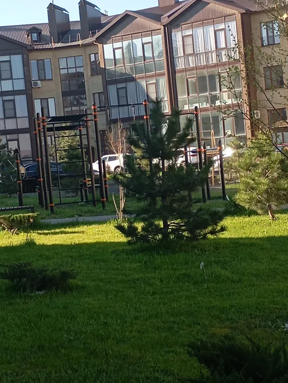 Квартира с цветами