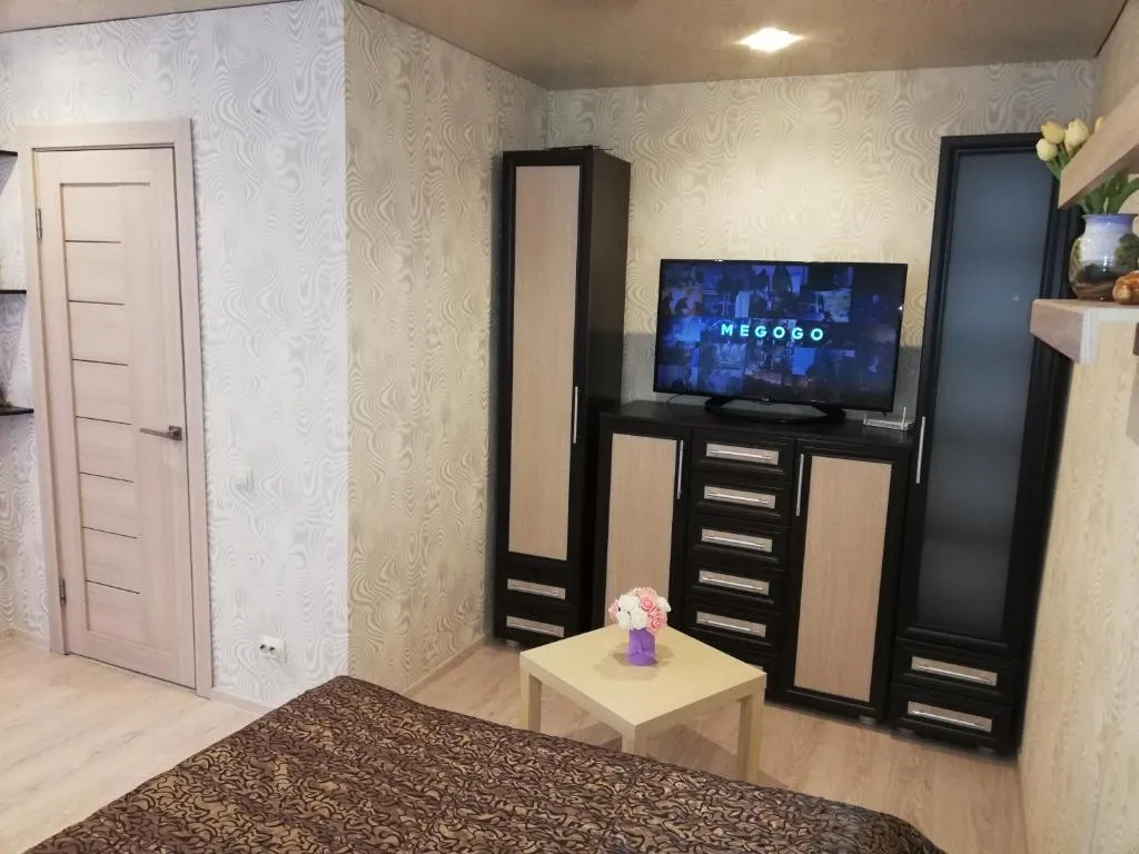 Студия в центре Борисова