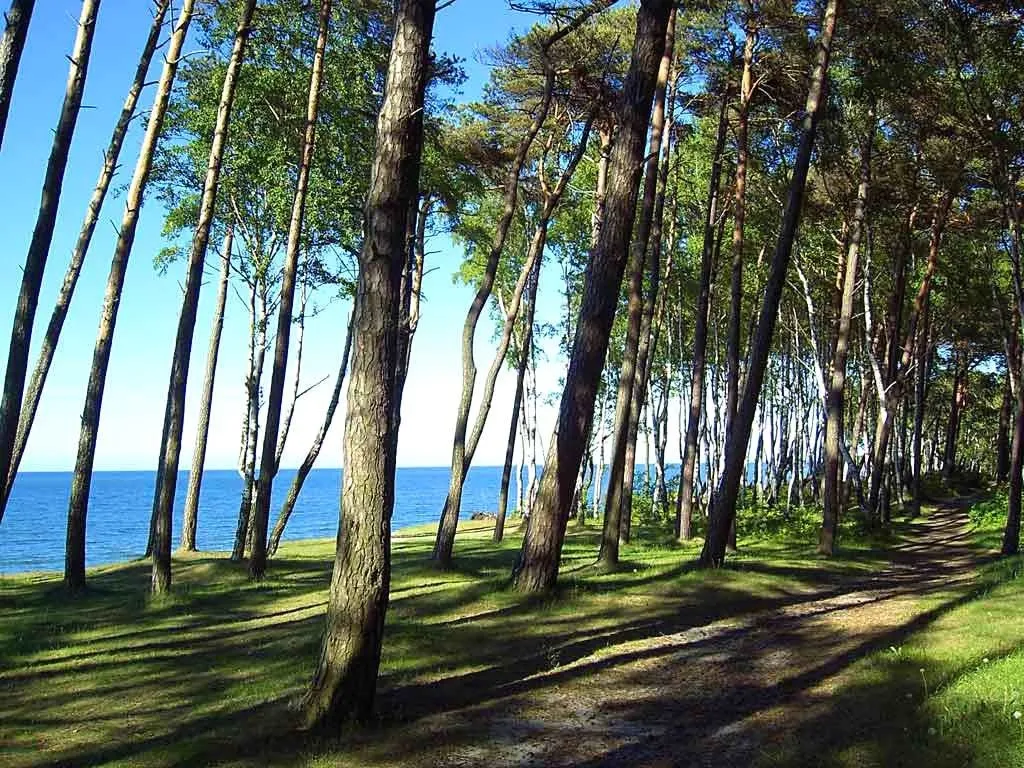 Уютная квартира на берегу моря — аренда посуточно в Пионерский