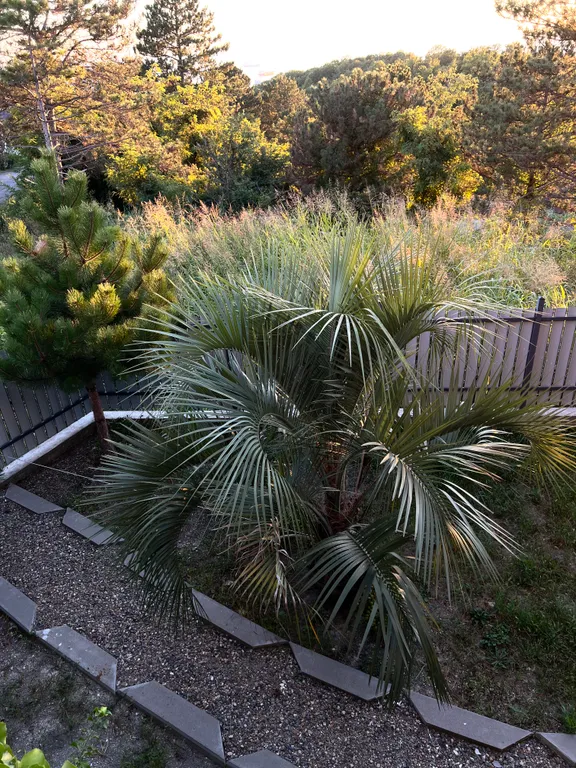 Gide villa посреди леса с видом на море