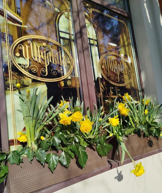 Квартира Уютная квартира недалеко от моря — Светлогорск