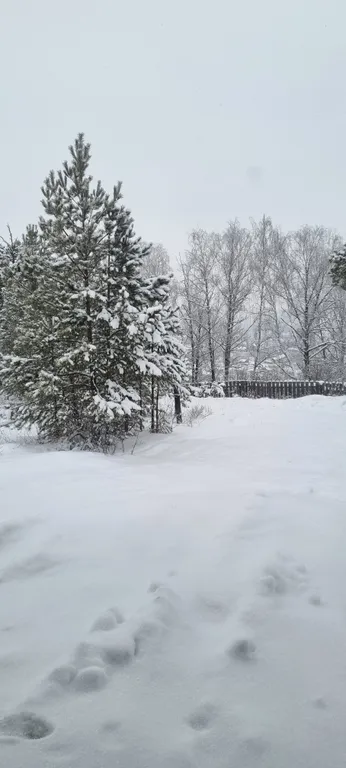 Гостевой дом Михайловские закаты