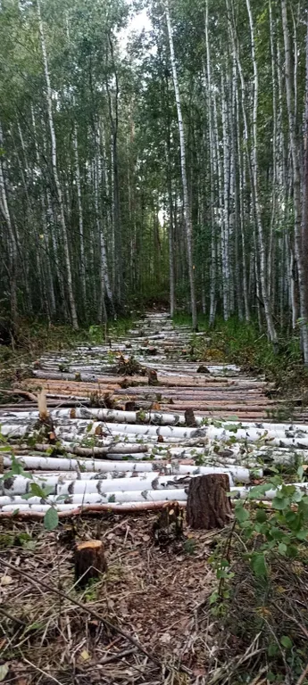 Гостевой дом для 2-6 человек с крытой террасой и мангалом