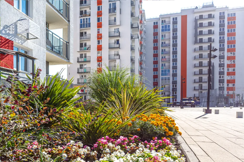 Современная студия Морент с ярким интерьером в жк фрукты