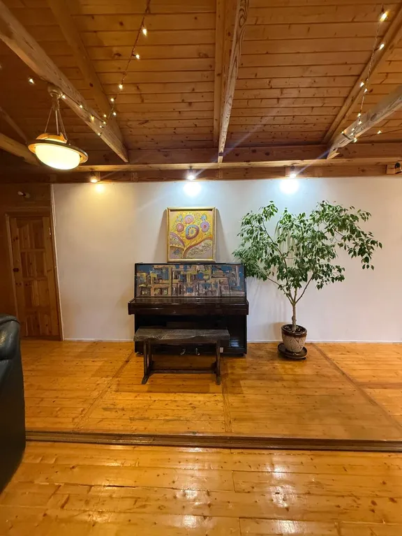 Студия-мансарда