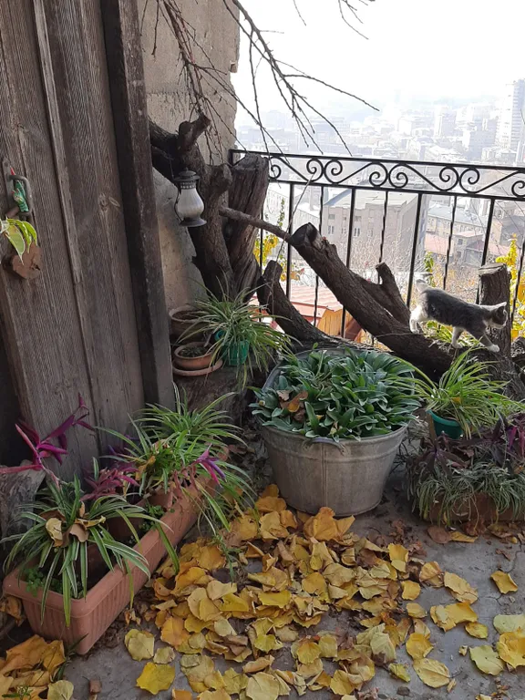 Апартаменты с панорамным видом центра Еревана и горы Арарат