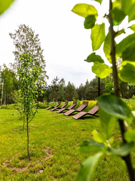 Коттедж Дом в лесу с купелью фурако и мангальной зоной (до 4-х чел) — Глубокое (Каменногорское г/п)