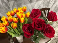 Анна Омельченко