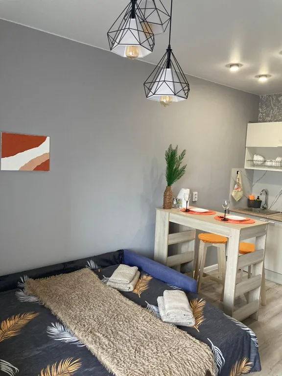 Апартамент с видом на город