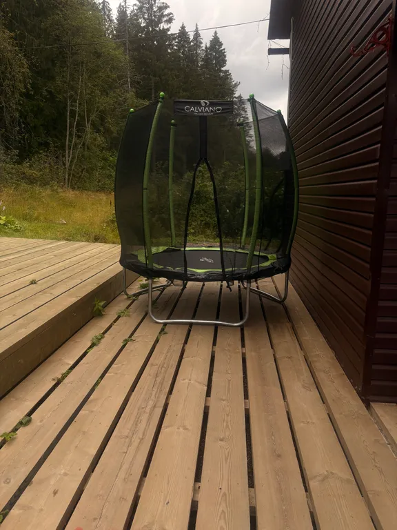 Дом с баней у леса