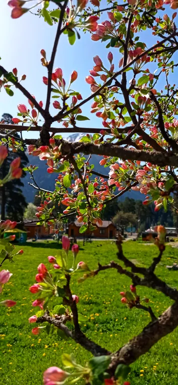 Квартира Комната — Архыз