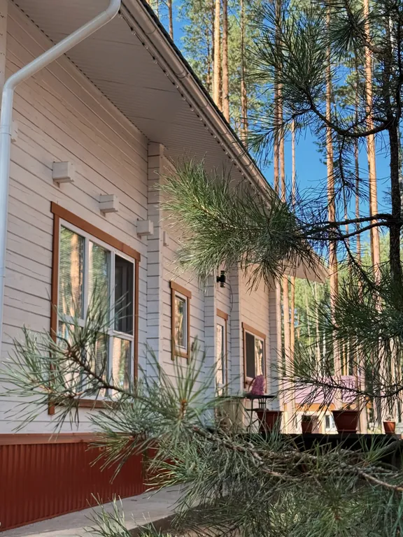 Белый дом и сосны