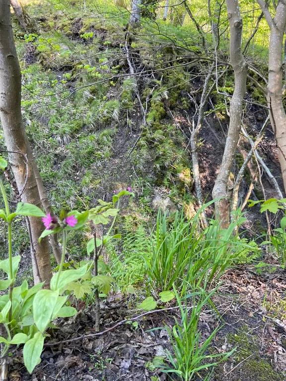 Квартира Квартира на берегу Балтийского моря — Светлогорск