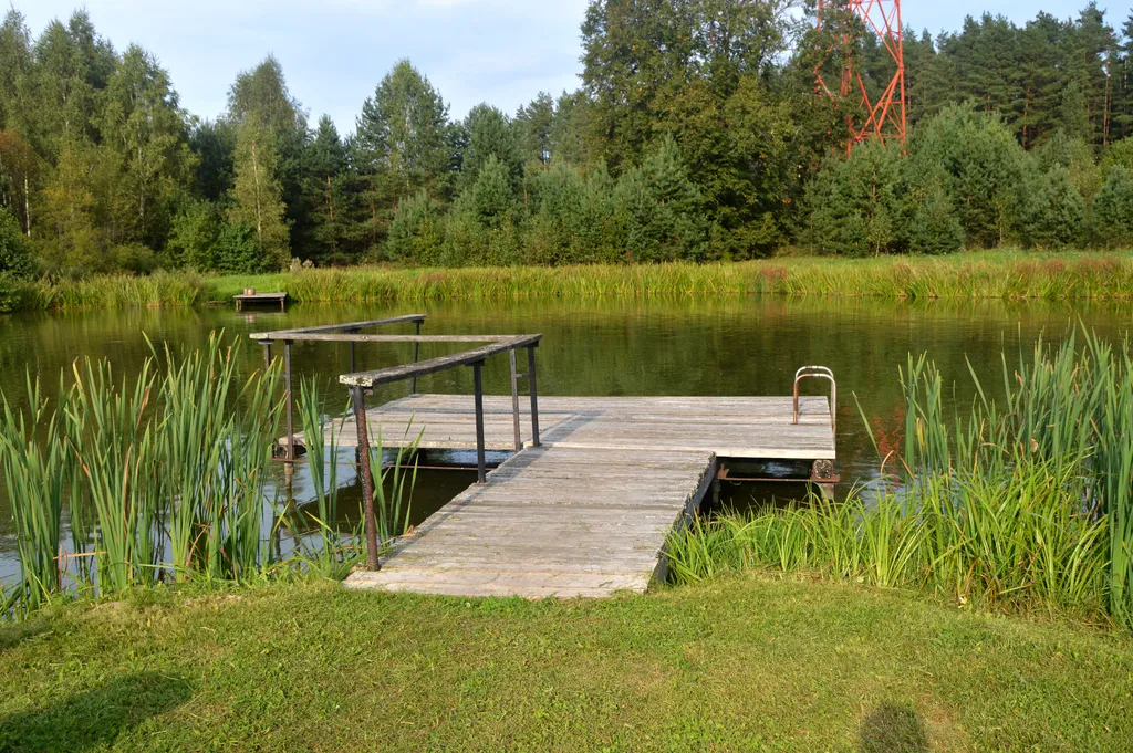 Агроусадьба у Топтыгина