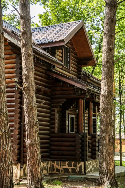 Дом в лесу на 8 человек