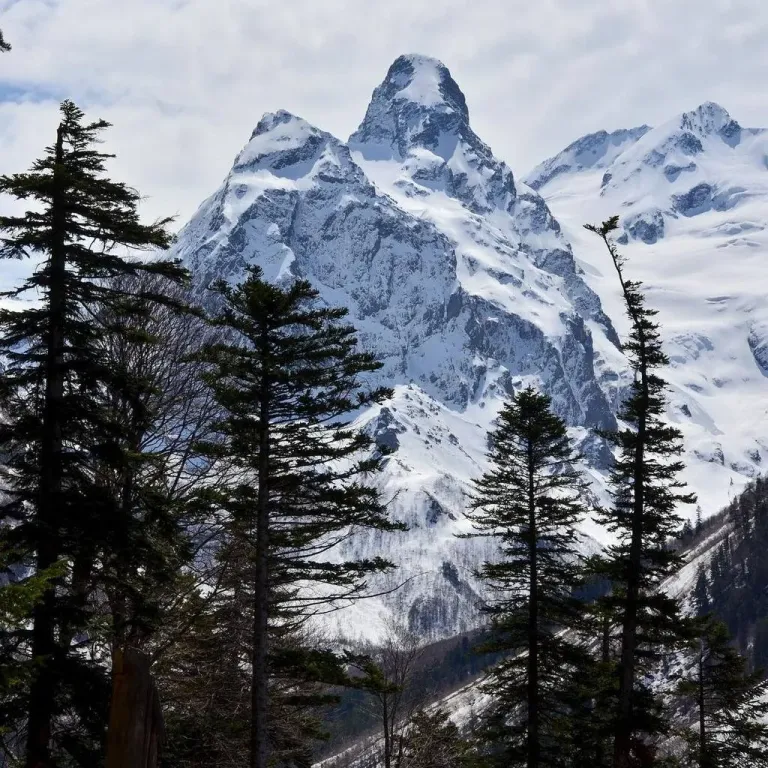 Коттедж Уютный домик около леса и реки — Архыз