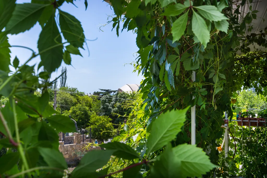 Уютные номера в доме