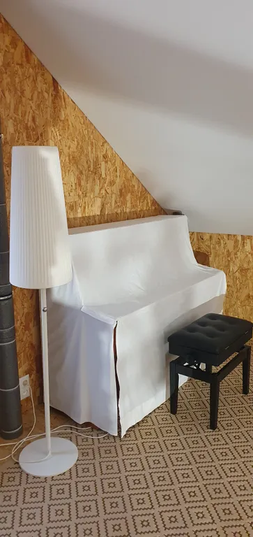 Коттедж FLIGELMUZ (Загородный Музыкальный Флигель). — Северская